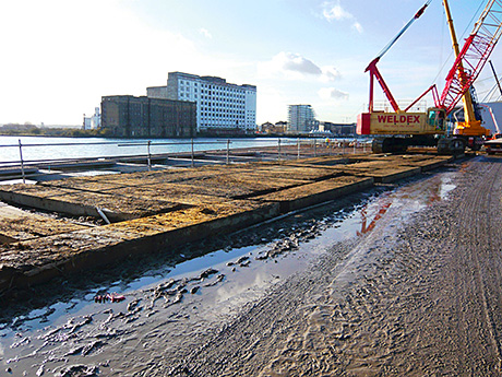 The wood is used widely for temporary roads.