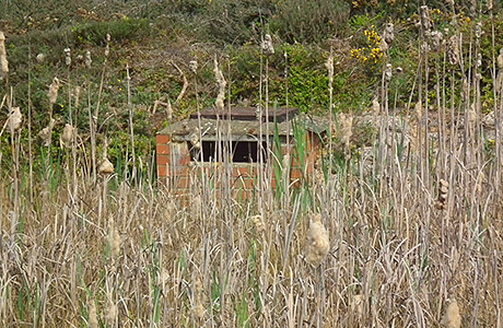 Elvetham Heath SuDS shot.