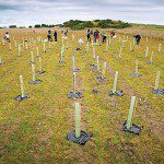 060_Chapelton Tree Planting_3