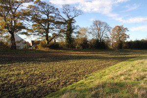 Beggar's Bush, Ravensheugh, Musselburgh 021112 009