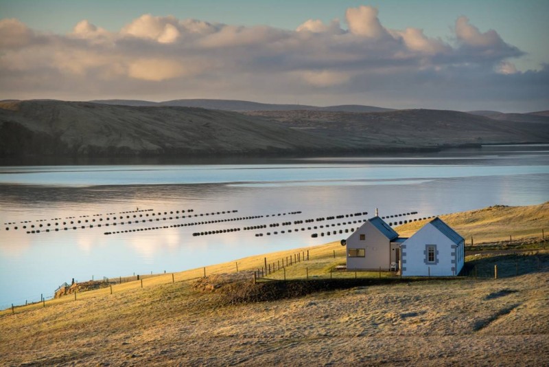 Muckle Roe - Shetland