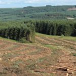 46Harvesting in Walessm