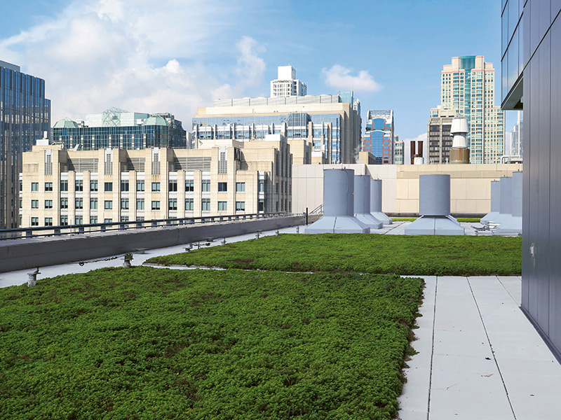 Sika green roof