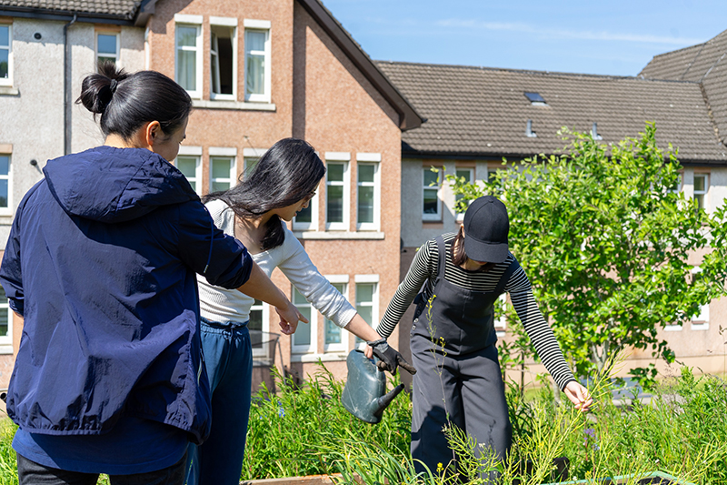 Hawthorn Housing Co-Operative Possilpark