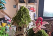 Fairy house