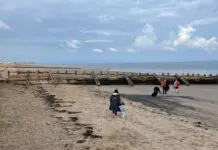 Groyne