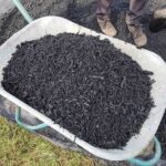 Biochar