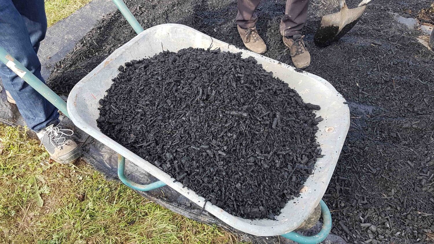 Biochar