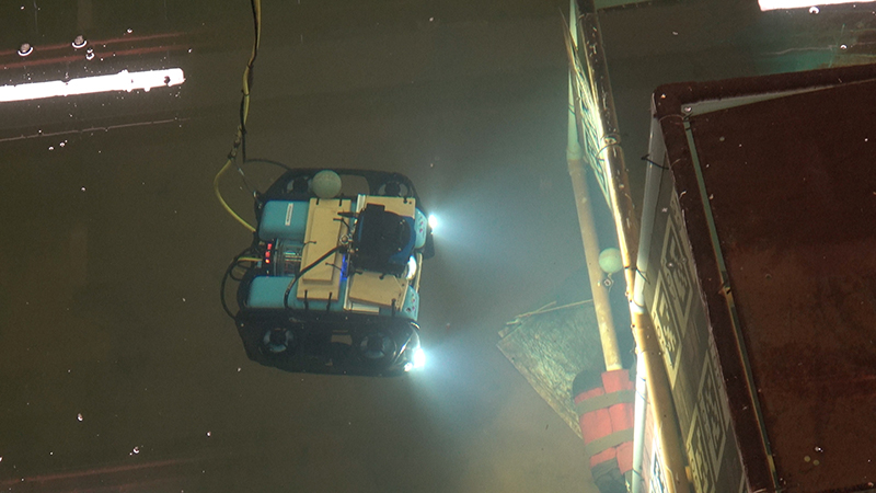 Autonomous underwater robot undergoing trials in Heriot-Watt University's wave tank facility