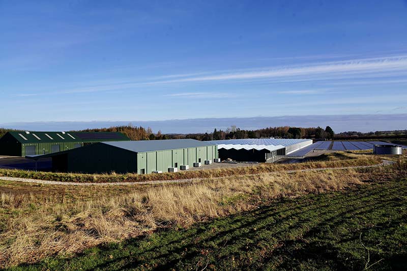 Forestry and Land Scotland glasshouse