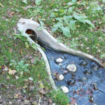 ACO marks World Water Day with call to improve understanding of sustainable drainage Sustainable drainage systems swale