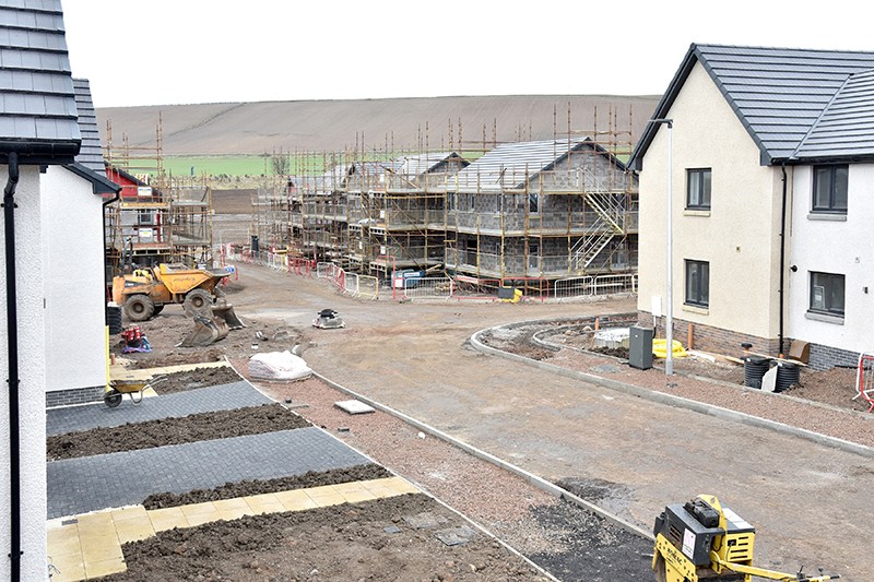 The Pines, Dandara site in Wallyford