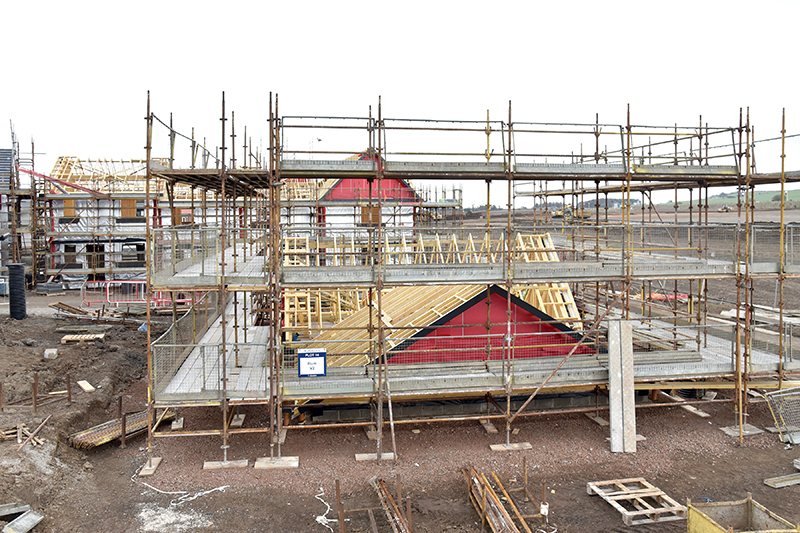 The Pines, Dandara site in Wallyford