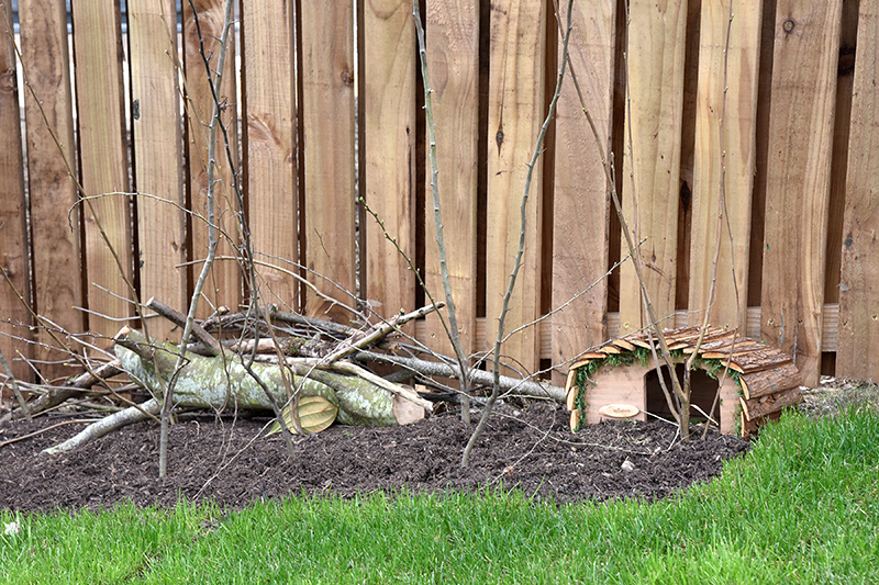 The Pines, Dandara site in Wallyford