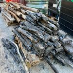 Tram infrastructure amongst unexpected finds on Aberdeen’s Union Street project Tram lines