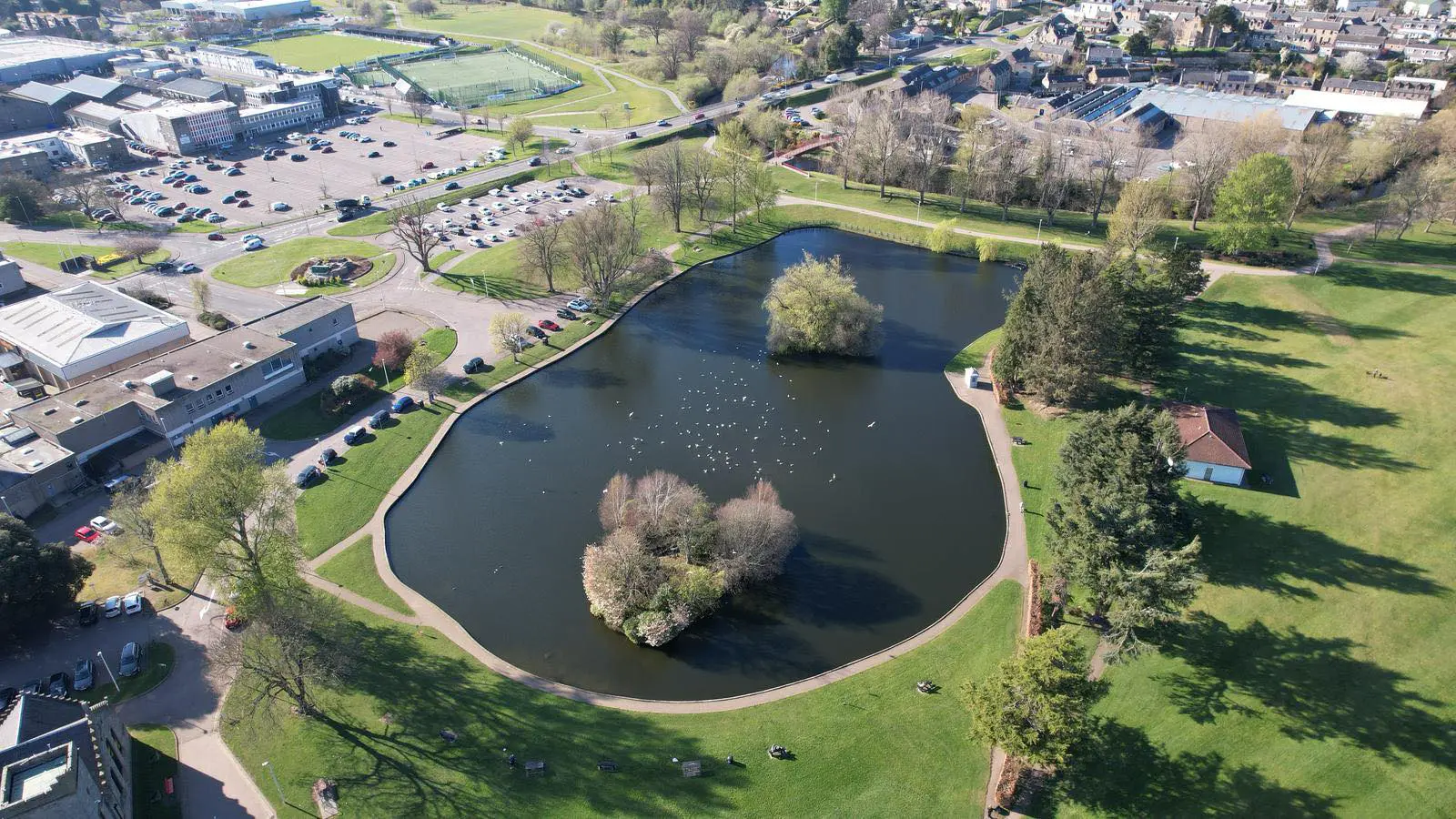 Aerial shot of Cooper Park pond