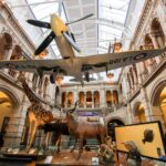 Estimates suggest £80m worth of works required at Kelvingrove Museum Kelvingrove Museum