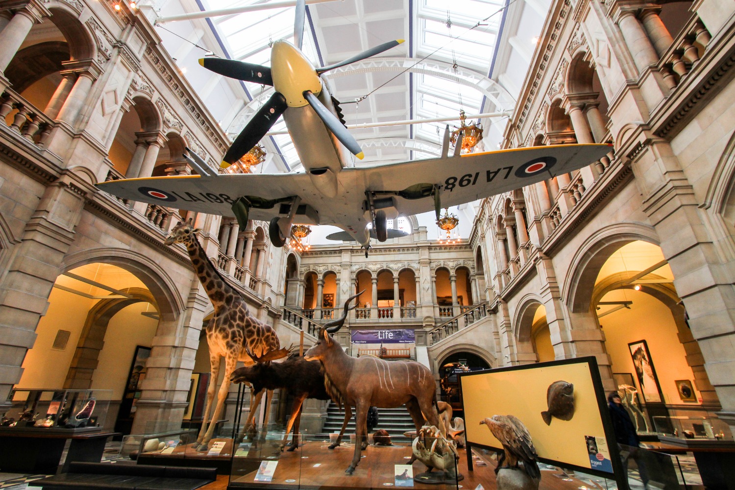 Kelvingrove Museum 