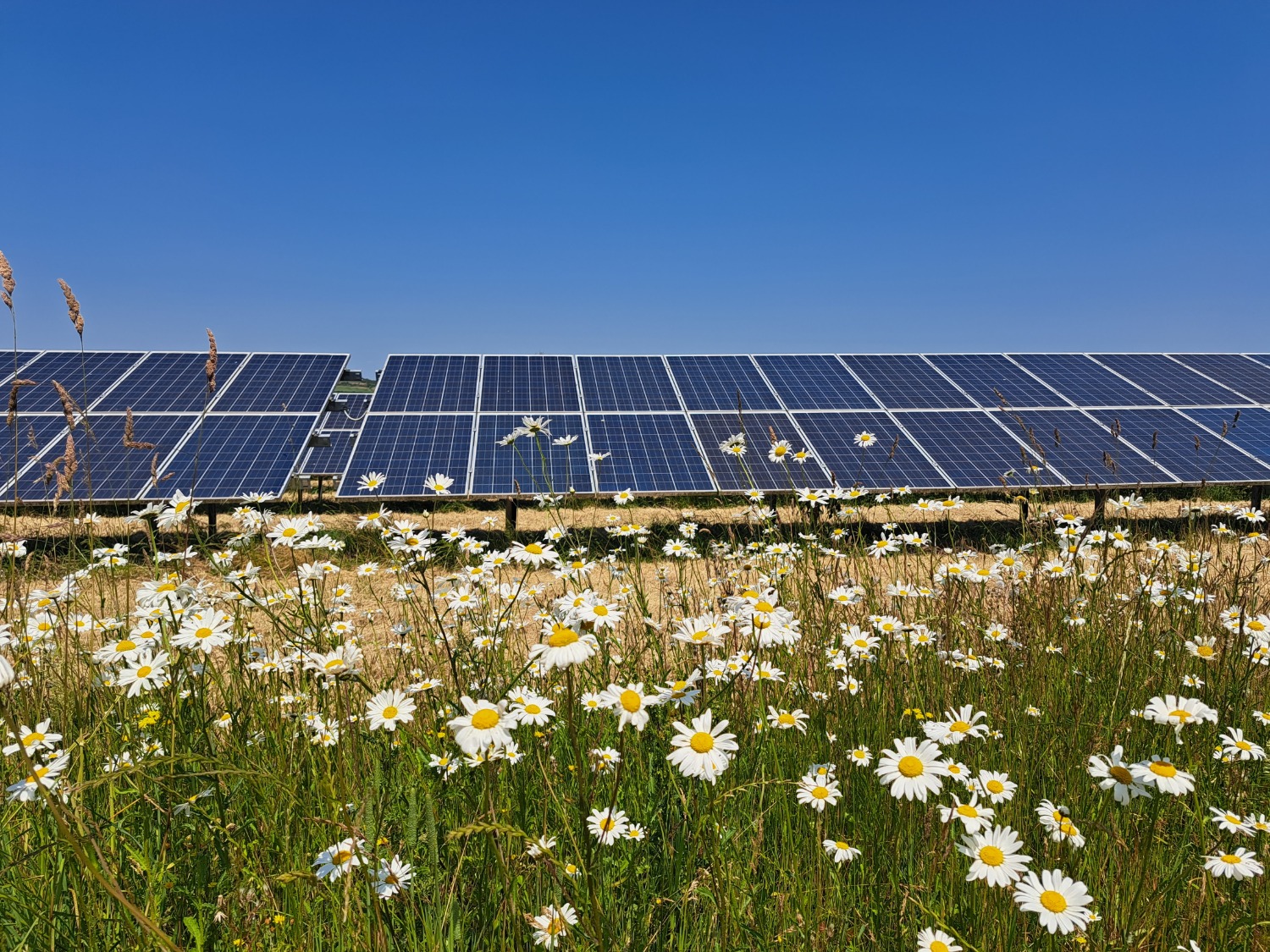 Solar panels