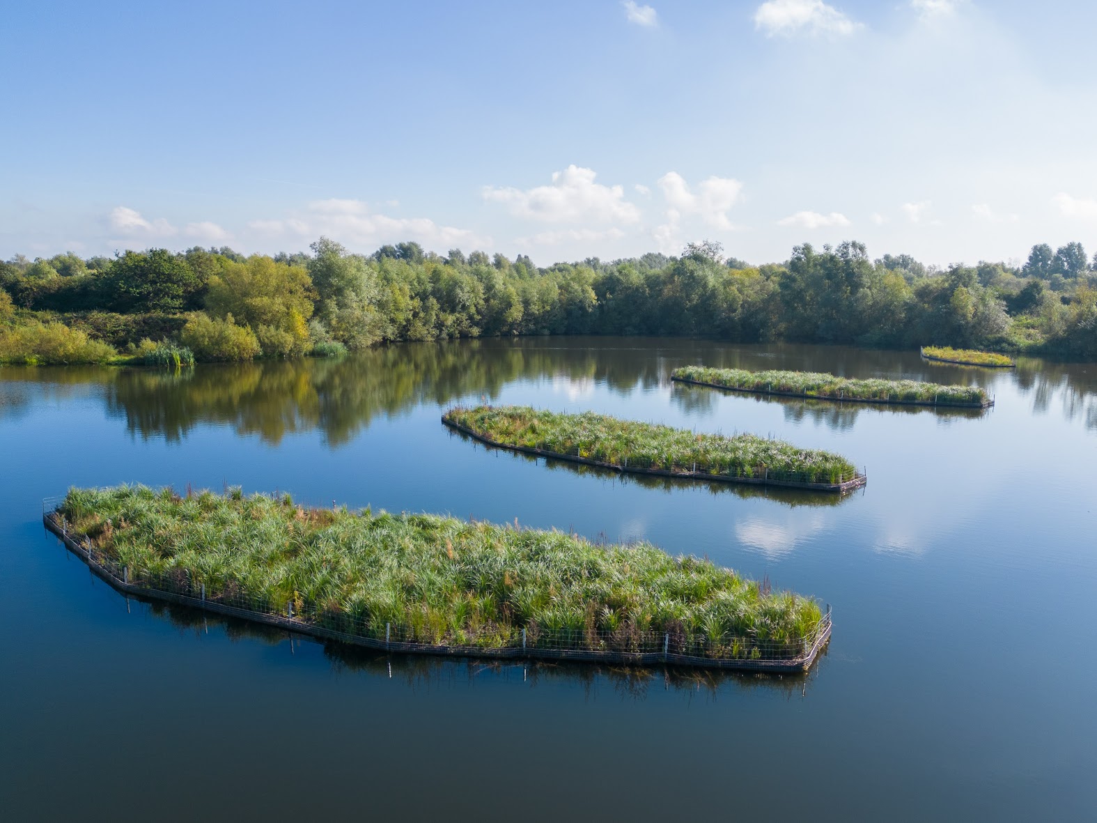 Biomatrix floating ecosystems