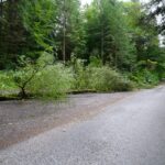 Storm Floris damage in Perthshire