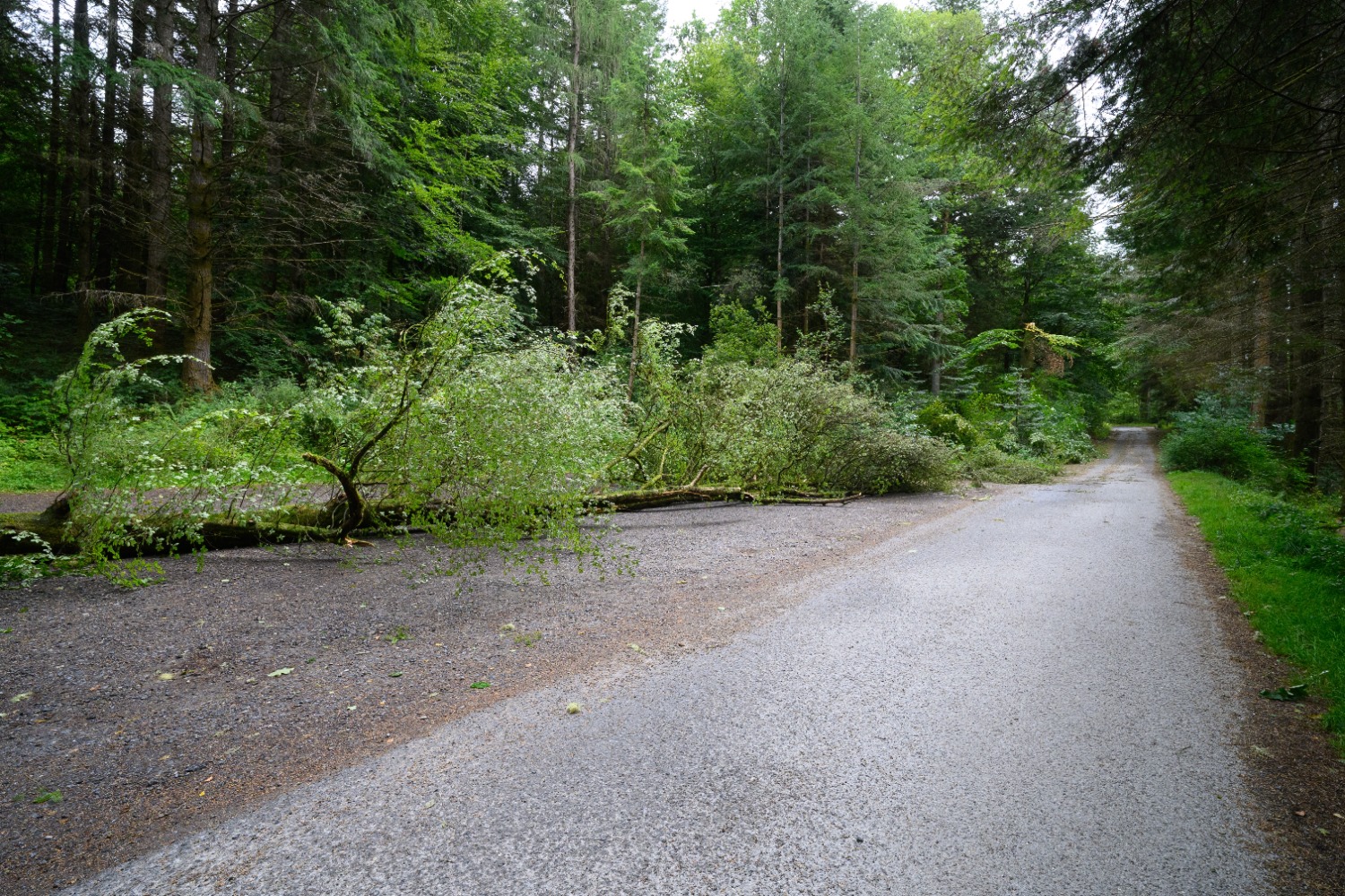 Storm Floris damage in Perthshire