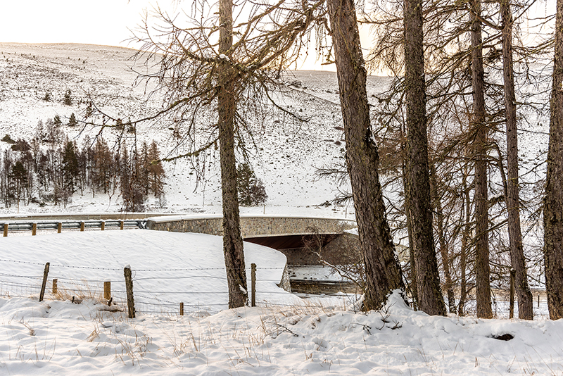 Gairnshiel Jubilee Bridge