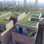 Soaking up the storm: how green roofs can help combat urban flooding Green roof