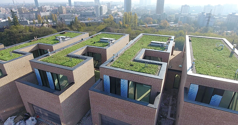 Green roof