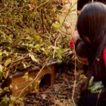 Dandara builds on community spirit with hedgehog homes for local school