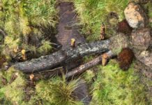 Falkirk recycles storm-damaged trees into flood defence infrastructure
