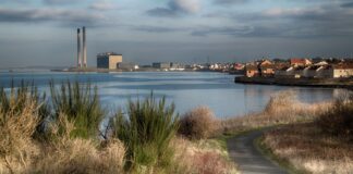 Anthony Dacko Fergus / Shutterstock.com