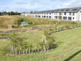 Blindwells landscape architecture