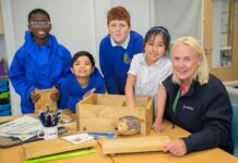 Dandara donates hedgehog hotels to school Hedgehog donation
