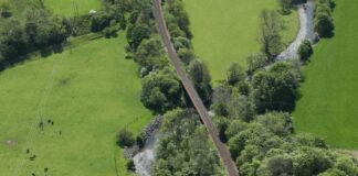 Aerial shot of line