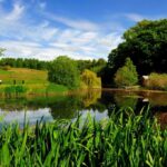 Perthshire golf centre represents ‘significant development opportunity’ Strathmore Golf Centre