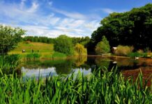 Strathmore Golf Centre