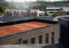 Tynecastle Student Accommodation green roof