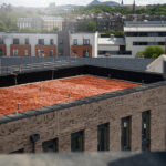 ‘Complex’ roofing system at Edinburgh student site earns award recognition Tynecastle Student Accommodation green roof
