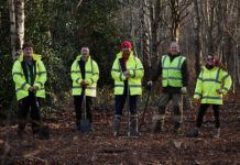 Construction volunteers building outdoor classroom. Image credit: Nick Mailer Photography