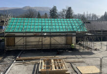 Sitka spruce grown from commercial timber