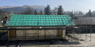 Sitka spruce grown from commercial timber