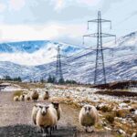 Innovative design approach saves £30m on north of Scotland project