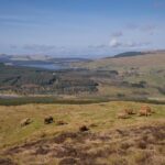 260-acre Darrach Hill landholding brought to the market