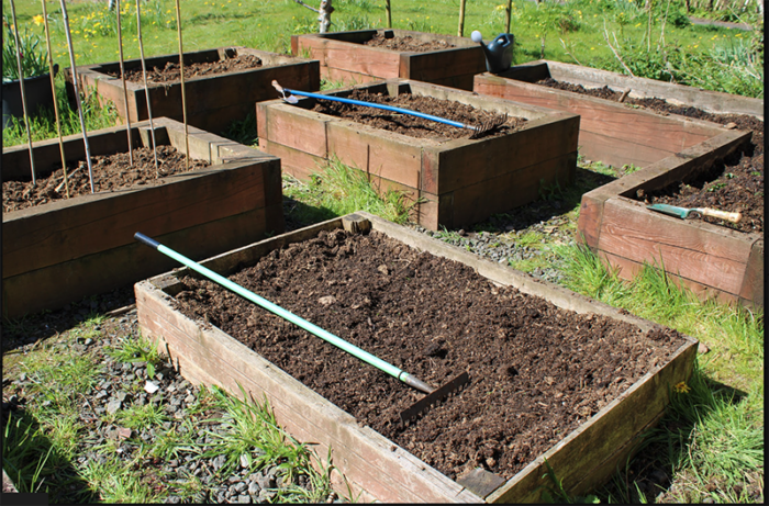 School outdoor learning