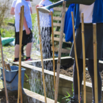 School outdoor learning