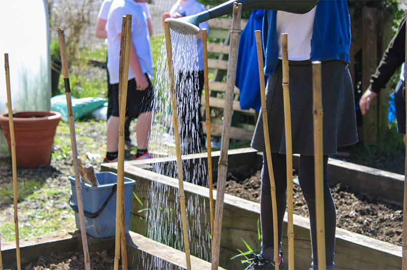 School outdoor learning