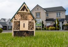 Insect house at Nairn development