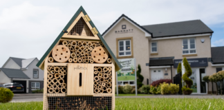 Insect house at Nairn development