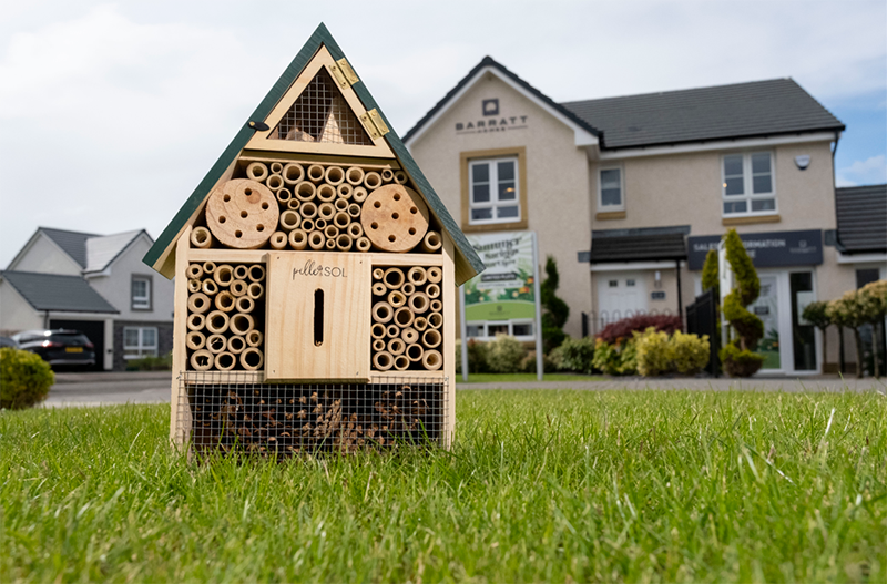 Insect house at Nairn development